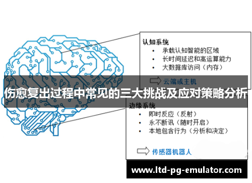 伤愈复出过程中常见的三大挑战及应对策略分析