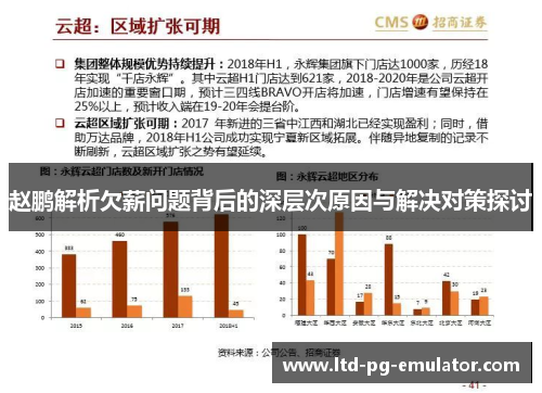 赵鹏解析欠薪问题背后的深层次原因与解决对策探讨